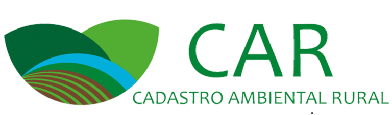 consultar CAR pelo CPF