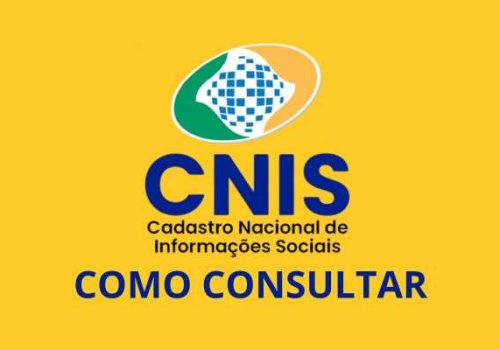 Consultar CNIS pelo CPF
